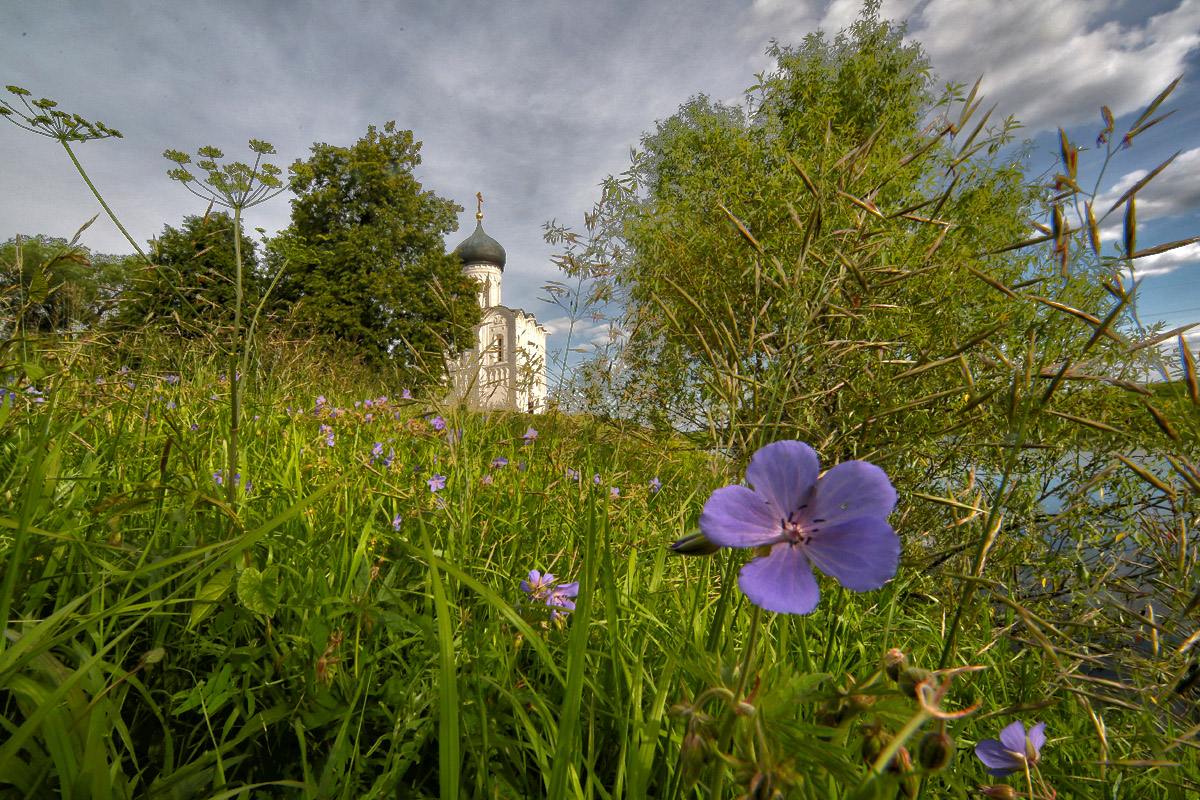 Покрова на Нерли