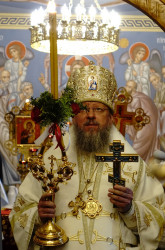 jarek 
Metropolitan Meletius of Czerniowce and Bukowina 
2017-07-04 14:39:15