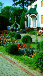 magdanazaruk 
Prazdnik 
2017-07-12 13:39:02
