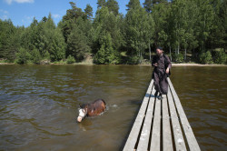 Eshtokin 
Купание коня 
27 
2017-07-24 14:12:33