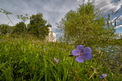 Eshtokin 
Покрова на Нерли 
33 
2017-07-24 14:20:27