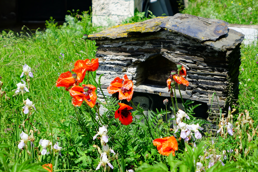 At the Georgian cementary close to Mestia