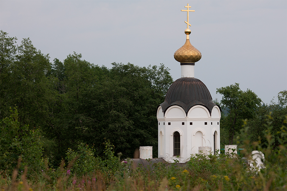 Живоносный источник в с. Ельцы