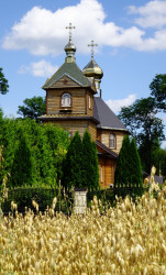 jarek1 
The Orthodox church in Telatycze 
2017-08-01 08:38:46