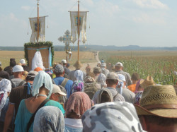 jot 
V piesza pielgrzymka Hajnówka-Poczajów 23.07.-05.08.2017 
2017-08-11 17:06:07