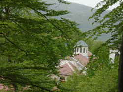 tstoyanova 
Ruen Monastery 
2017-08-17 21:32:58