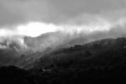Anaxios 
Καρυές Αγίου Όρους 
2017-08-23 15:08:15