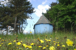 jarek1 
The Orthodox chapel in Lady 
2017-08-24 11:06:57