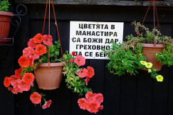 jarek11 
The flowers for Christ. Botoshevski Convent 
2017-08-28 22:48:38