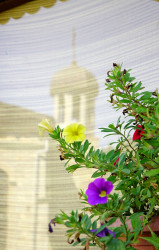 jarek11 
Botoshevski Convent 
2017-08-28 22:49:09