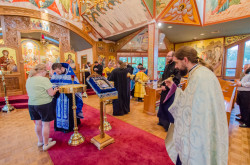 Vlutes 
Visit of the Hawaiian Iveron Icon 
2017-08-29 18:46:11