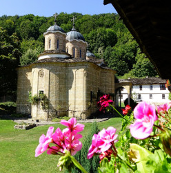 jarek 
Batoszevski Monastery 
2017-08-30 23:17:16