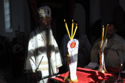 sapuric 
PRED DRUGI DOLAZAK 
2017-09-12 09:20:10