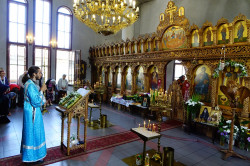 jarek 
St. John the Baptist feast in this saint church in Sofia-Obelya 
2017-09-15 20:46:52