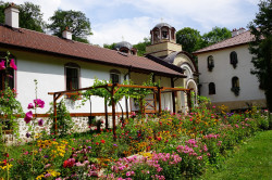 jarek1 
Divotinski Monastery 
2017-09-15 20:52:00