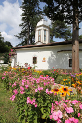 jarek1 
In Divotinski Monastery 
2017-09-18 07:06:41