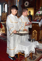 szolucha.w 
Prisłużniki. 
2017-09-23 18:06:12