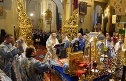 jarek11 
Bishop Athanasios (Nos) ordination 
2017-09-28 09:10:34