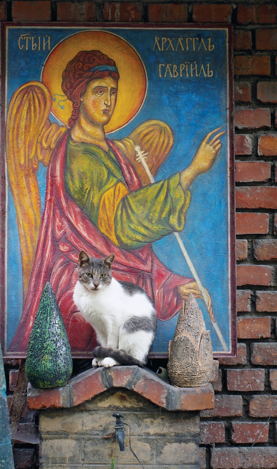 Из град Пловдив