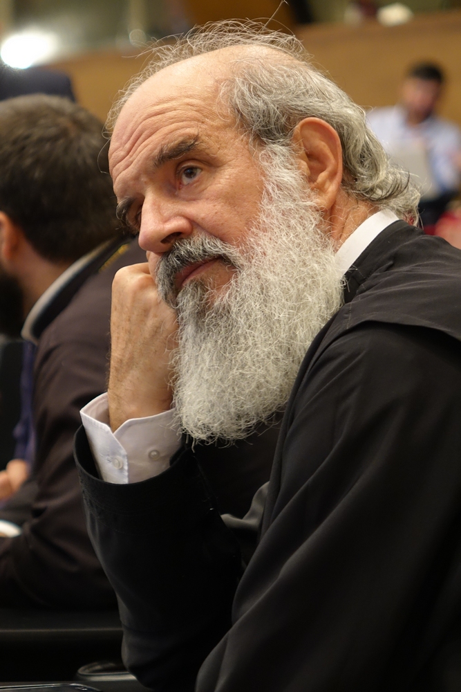 At Holy Cretean Council, 2016