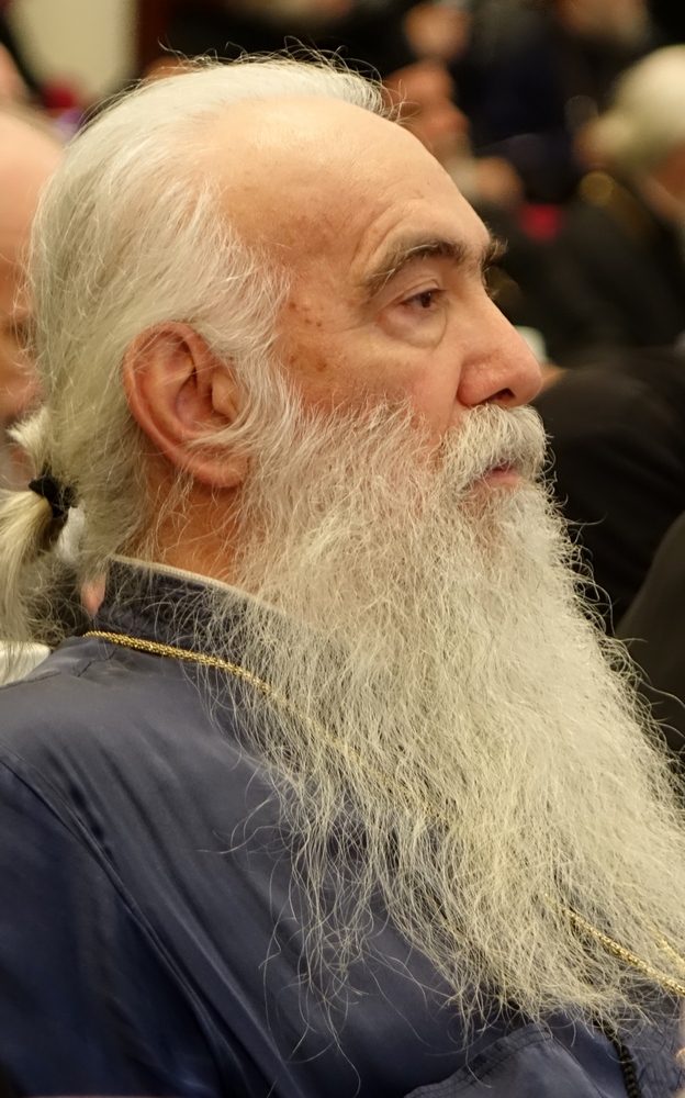 At Holy Cretean Council, 2016
