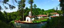 Stefka 
Divotinski Monastery 
2017-10-05 12:47:11