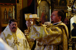 jarek11 
Bishop Warsonofiusz (Doroszkiewicz) ordination 
2017-10-09 14:48:52