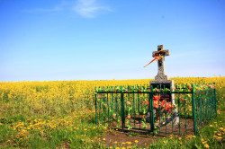 jarek 
Orthodox memory cross close to Augustowo village 
2017-10-11 21:00:29