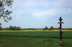 jarek1 
Podlasie region landscape 
2017-10-11 21:07:39