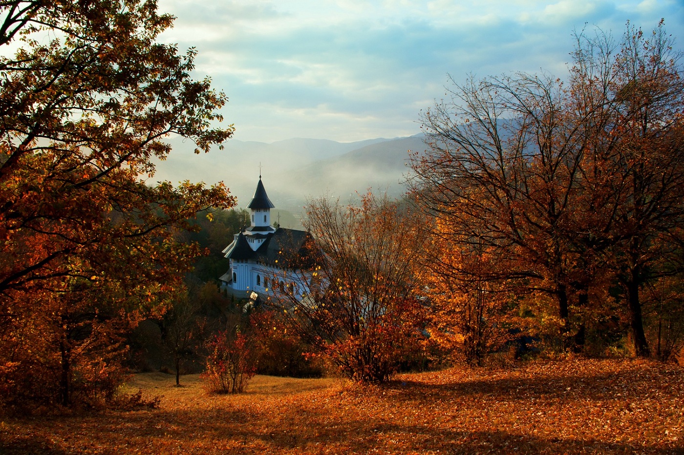 Autumn colours