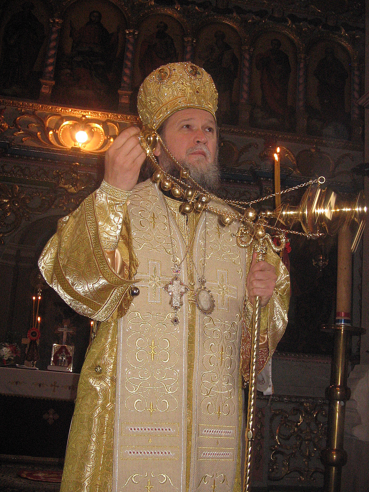 Умировљени владика Јован (Пурић)