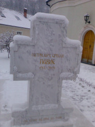 PedjaVid 
Патријарх  
2017-11-02 20:11:05