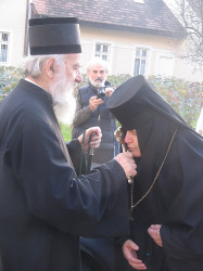PedjaVid 
Благослов патријарха 
2017-11-05 19:40:43