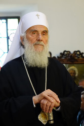 jarek11 
Patriarch Ireneios 
2017-11-05 22:17:55