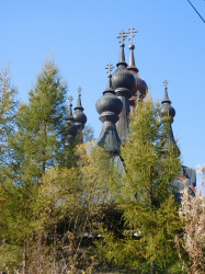 jarek 
The Orthodox church in Krynica-Zdrój again 
2017-11-07 22:07:32