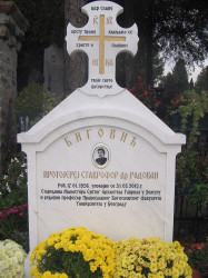 PedjaVid 
Протојереј ставрофор др Радован Биговић (1956-2012) 
2017-11-08 14:29:44