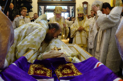 jarek11 
The funeral of archbishop Jeremiah, 2017 
2017-11-11 00:20:46