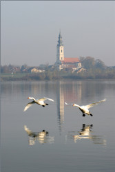 tolmargarita 
На реке Дунай 
45 
2017-11-17 11:26:11