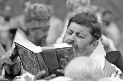 palavos 
Abp Abel 
2017-11-23 23:27:21