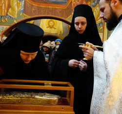 jarek1 
St. Nectarios of Egina relics in Zwierki Convent 
2017-11-26 22:47:39