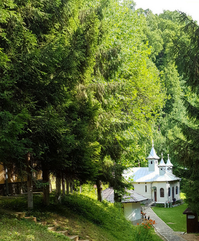 Feredeu skete, Arad