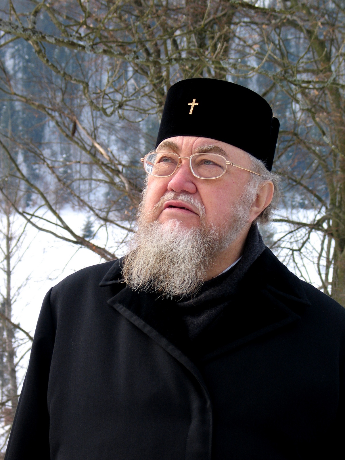 Quite old portraits... Metropolitan Sawa, 2009