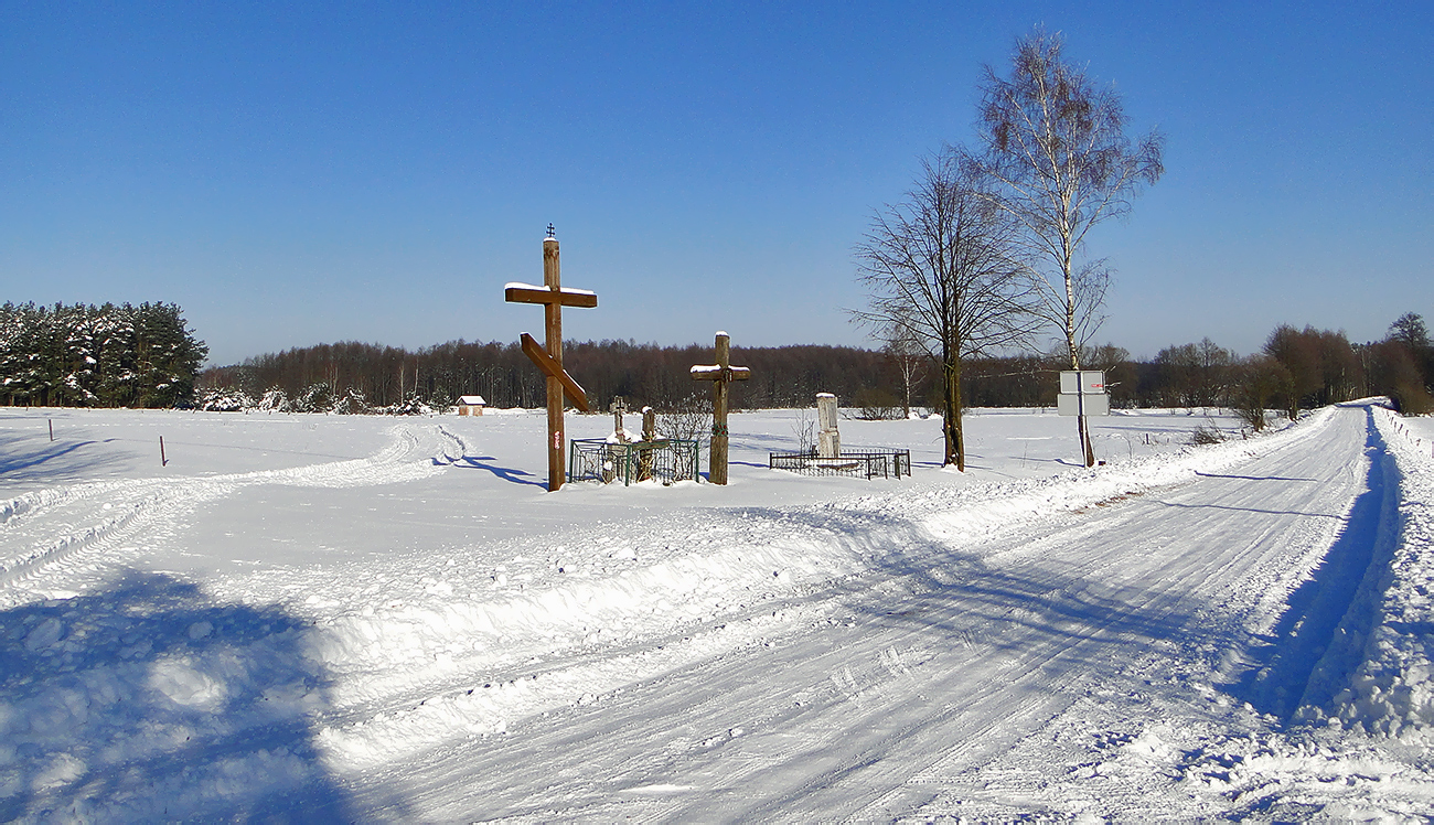 Puchły