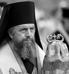 palavos 
Abp  Grzegorz 
2017-12-04 23:35:21
