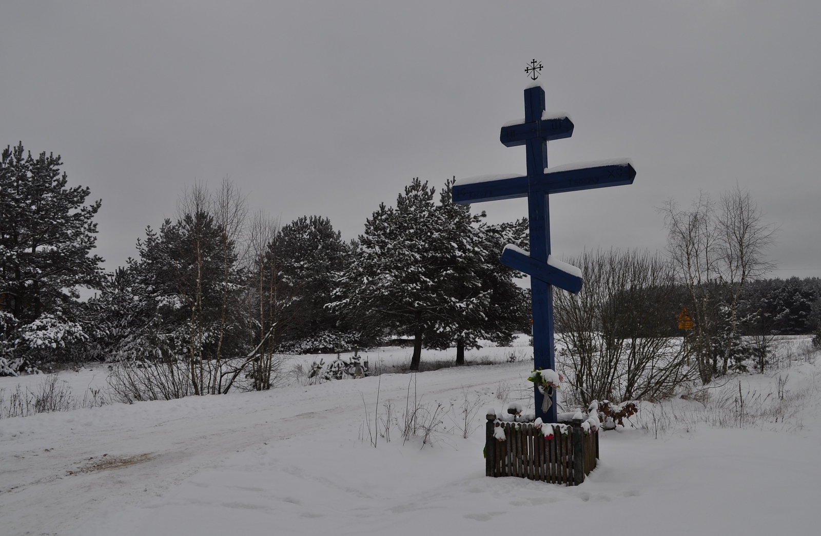 Puchły (4)