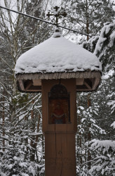 bogdan 
kapliczka w Puchłach (3) 
2018-01-25 19:19:34