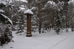 bogdan 
kapliczka w Puchłach (7) 
2018-01-27 21:34:38