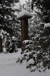 bogdan 
kapliczka w Puchłach (8) 
2018-01-27 21:34:58