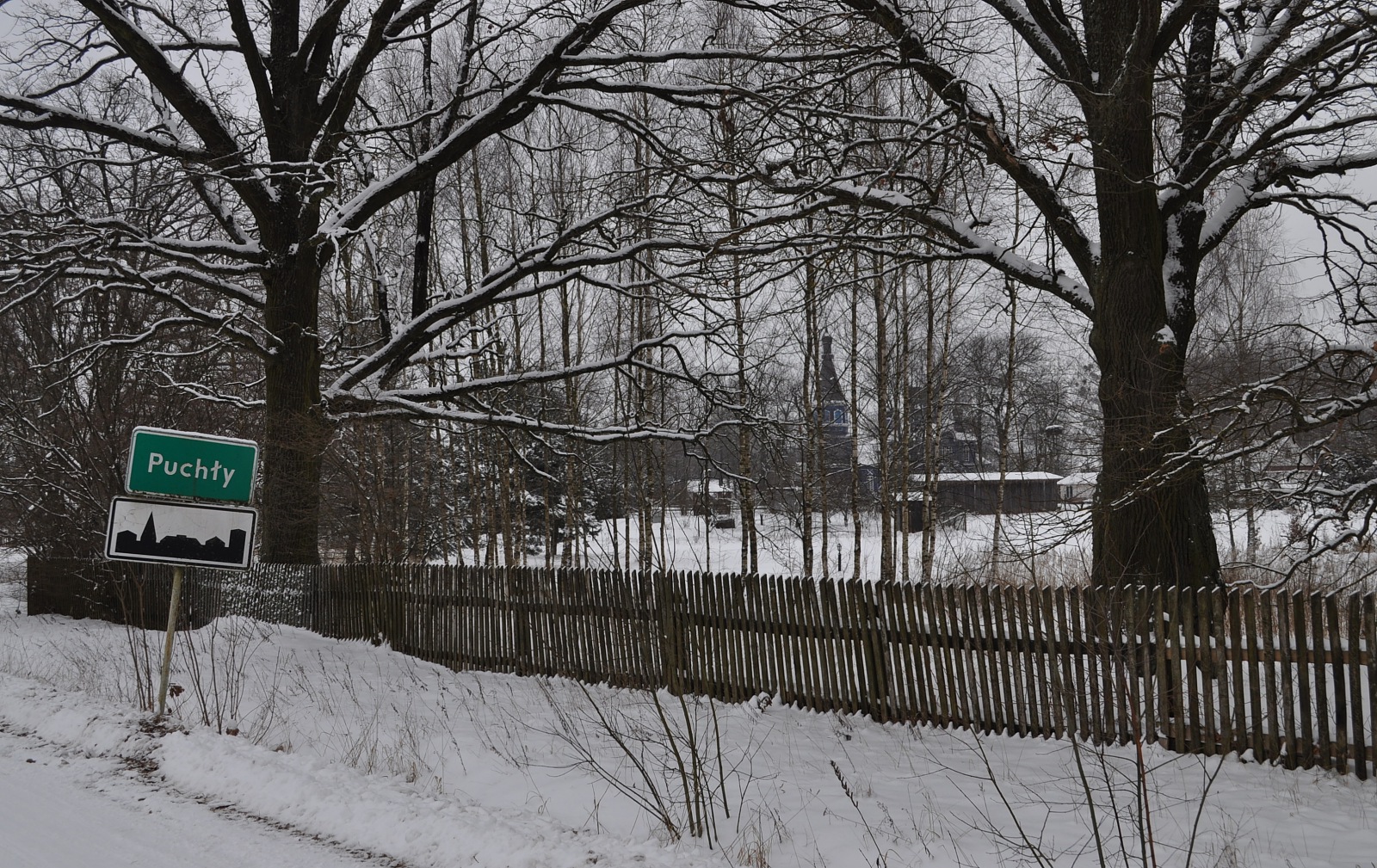 Puchły (5)
