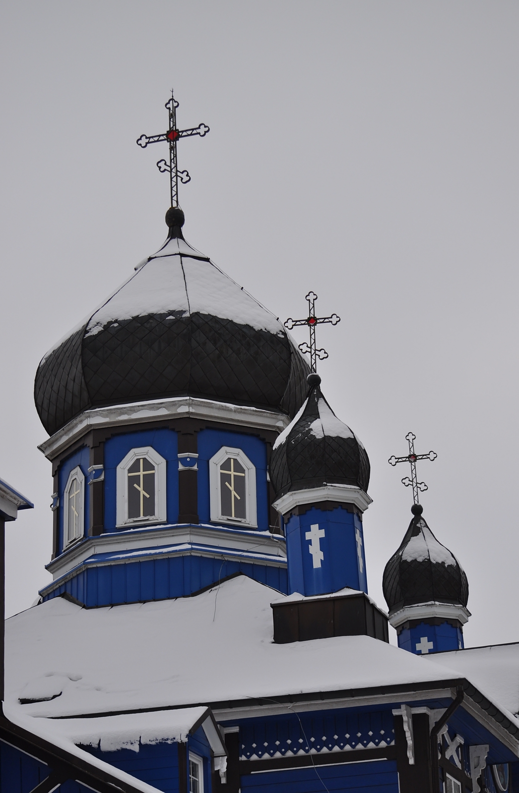 Puchły (15)